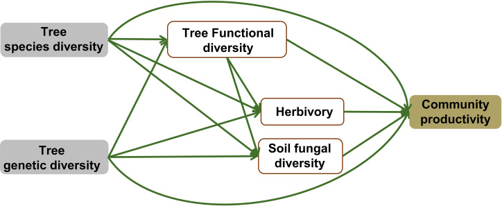 Figure 4—figure supplement 2.