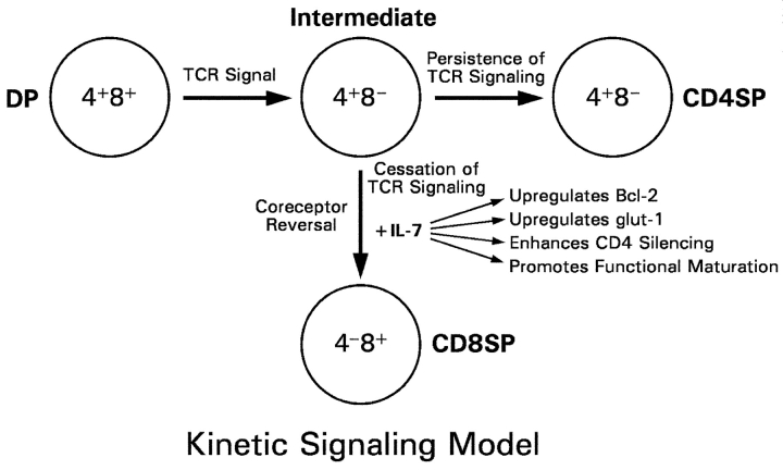 Figure 9.