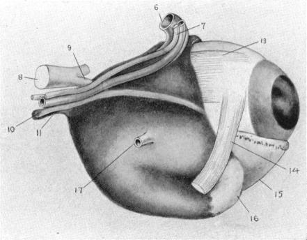 Fig. 16.