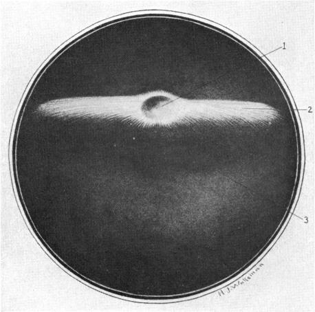 Fig. 42.