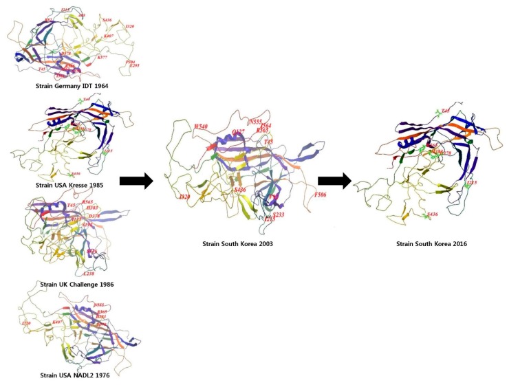 Figure 5