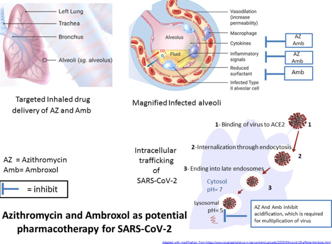 Image, graphical abstract