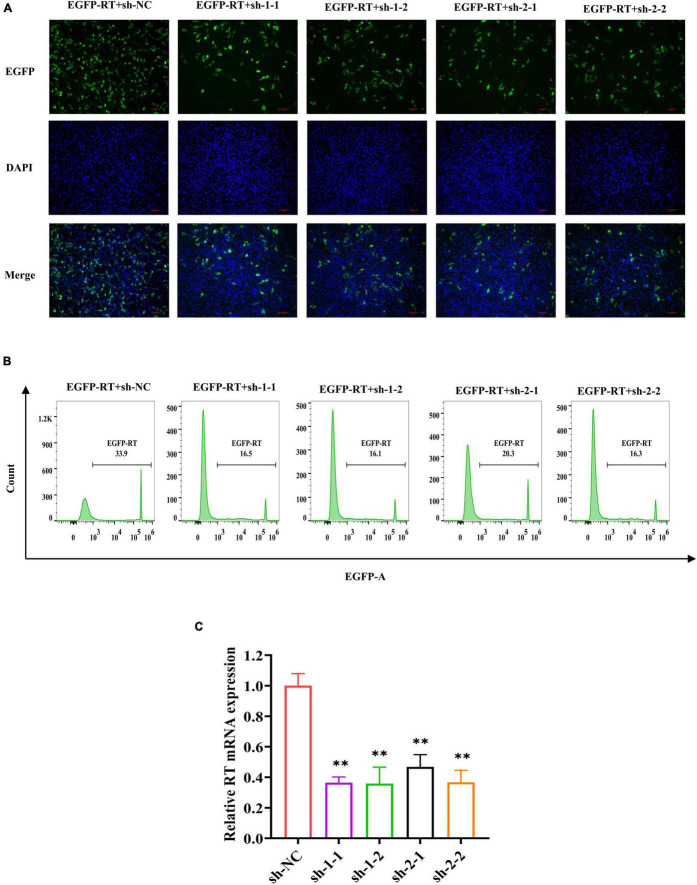 FIGURE 3