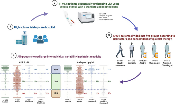 graphic file with name 11239_2024_3022_Figa_HTML.jpg