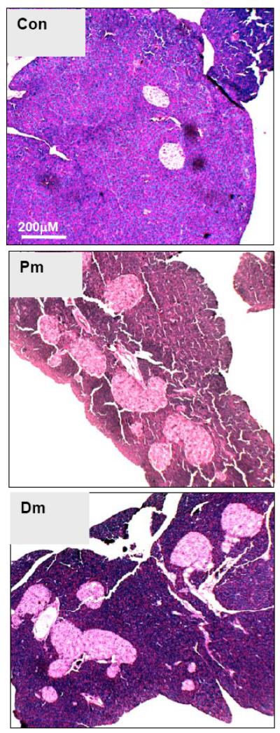 Fig. (4)