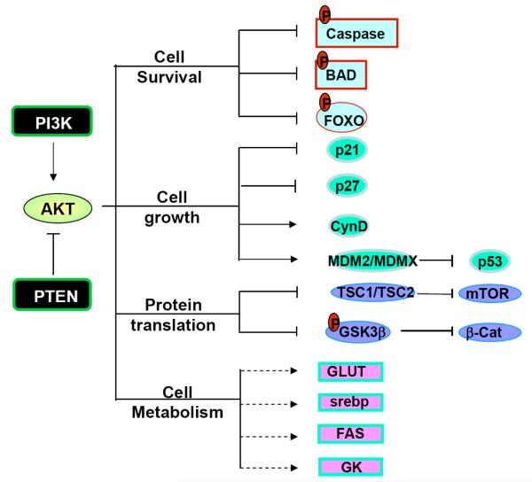 Fig. (2)