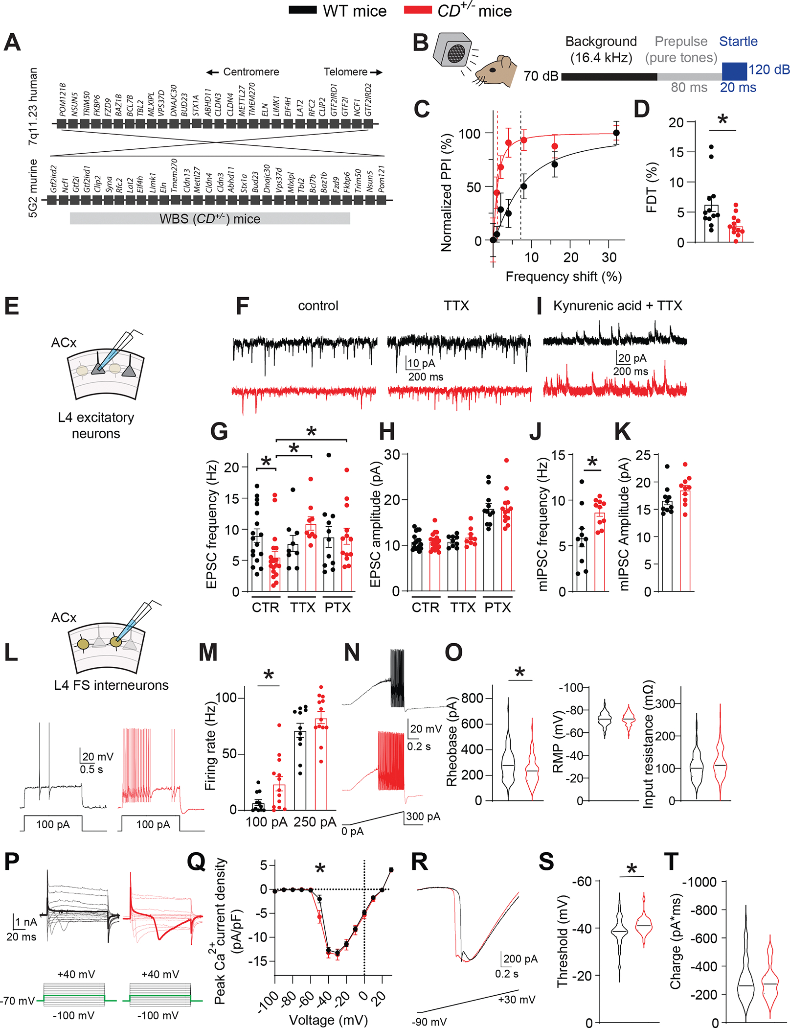 Figure 1: