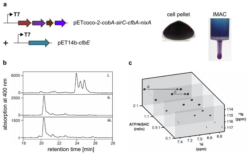 Extended Data Figure 2