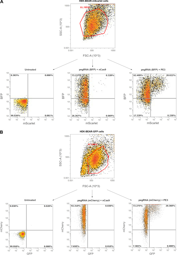 Figure 2—figure supplement 1.