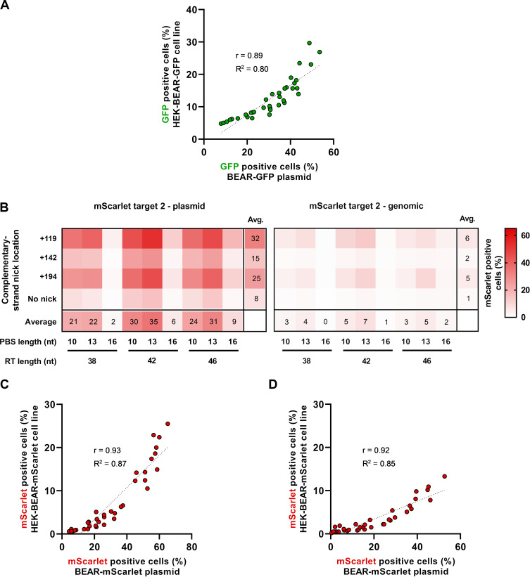 Figure 2—figure supplement 2.