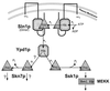 FIG. 6