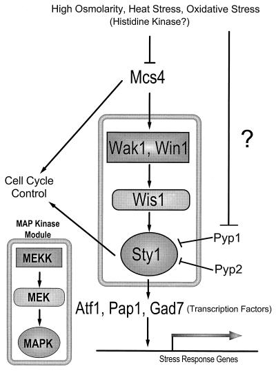 FIG. 7