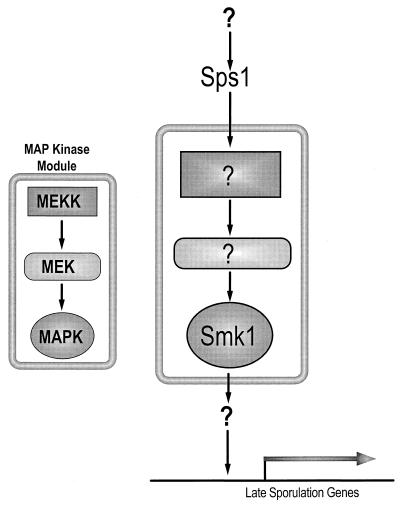 FIG. 8