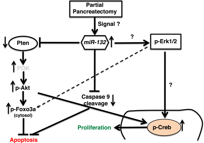 Figure 7