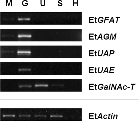 FIG. 6.