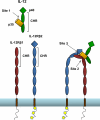 Fig 2