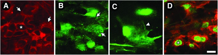 FIG. 4.