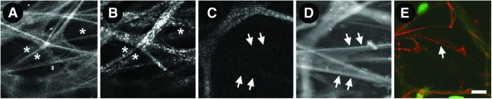 FIG. 6.