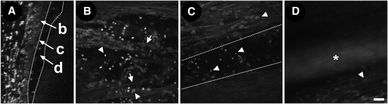 FIG. 7.