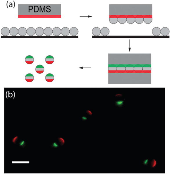 Fig. 1