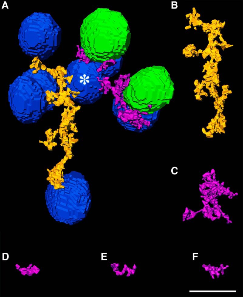 Figure 6.