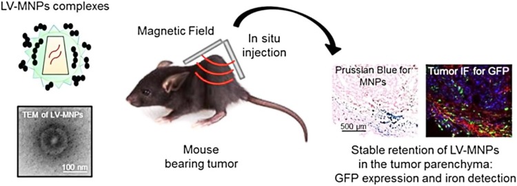 Fig. 12