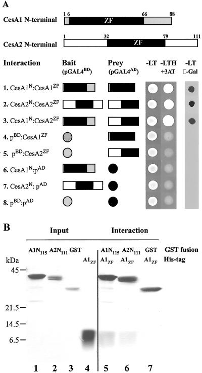 Fig 2.