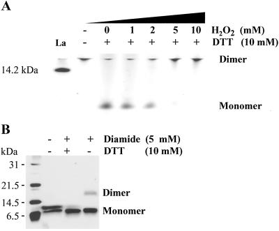 Fig 4.