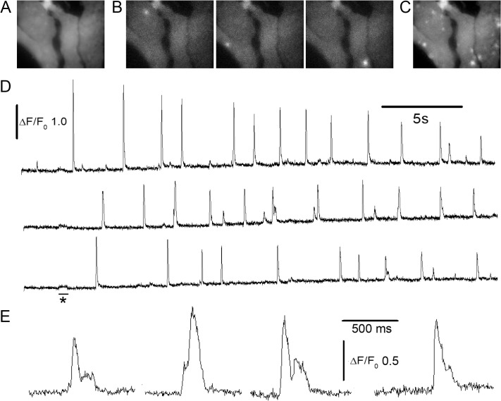 Fig 3