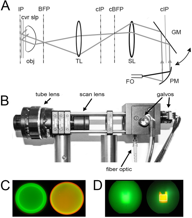 Fig 1