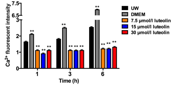 Figure 6.