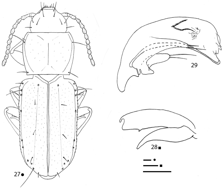 Figures 27–29.