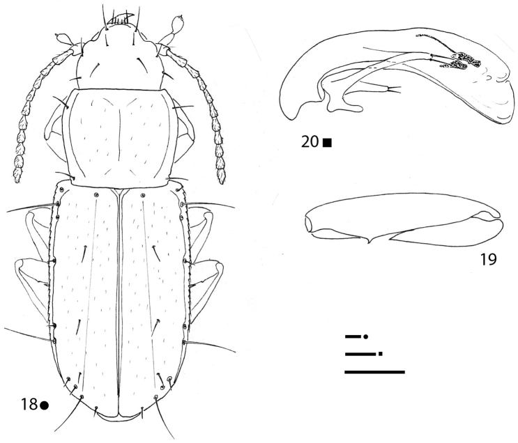 Figures 18–20.