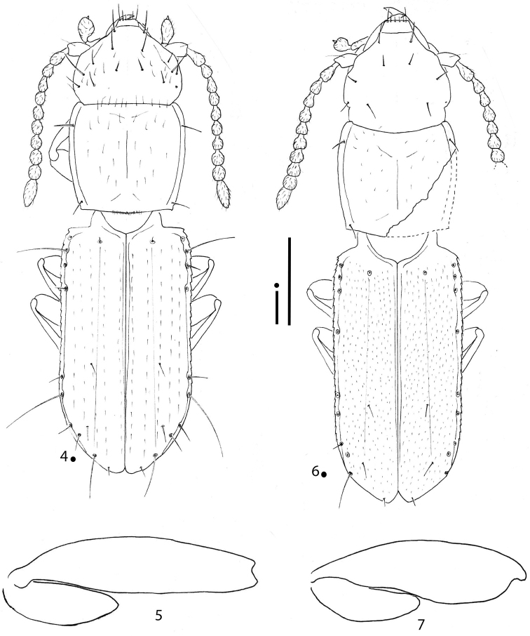 Figures 4–7.