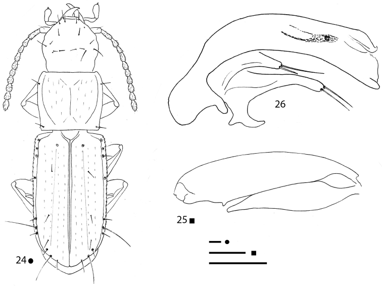 Figures 24–26.