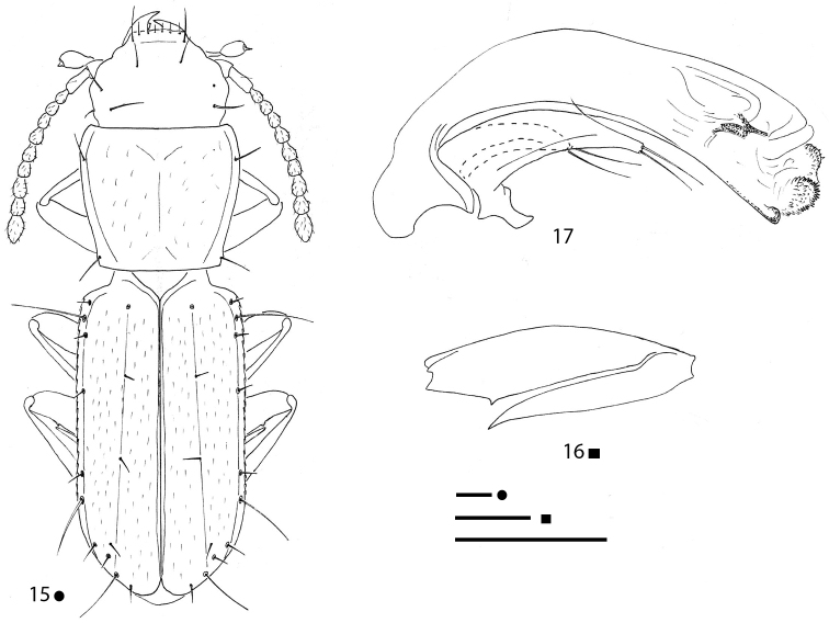 Figures 15–17.