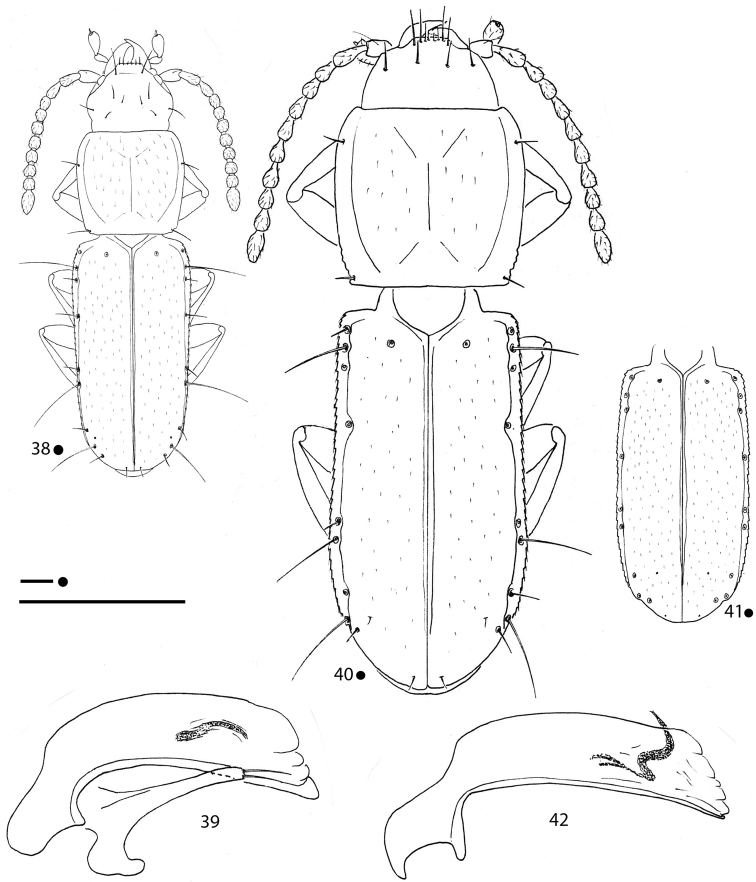 Figures 38–42.