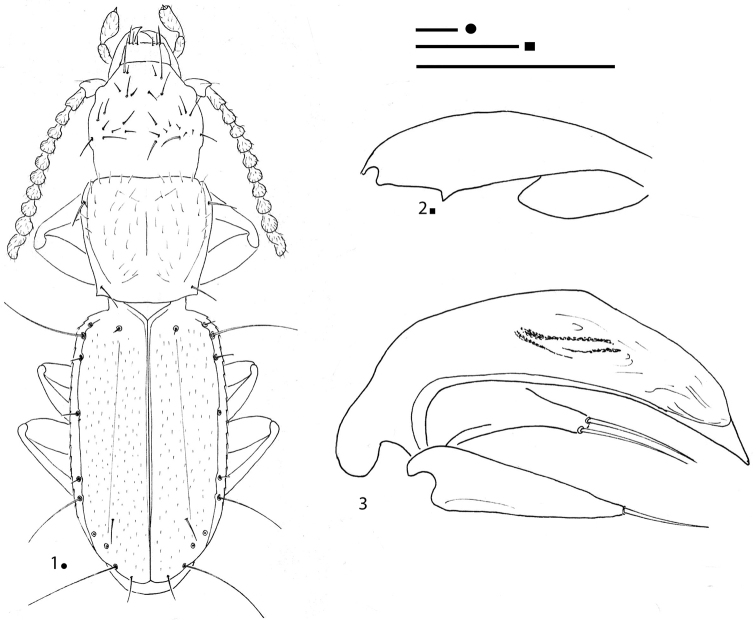 Figures 1–3.