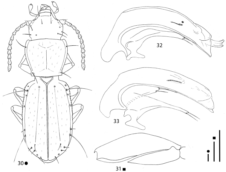 Figures 30–33.