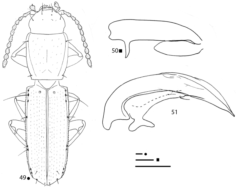 Figures 49–51.