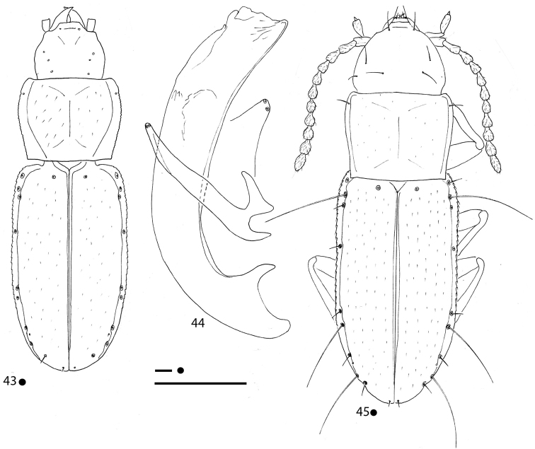 Figures 43–45.