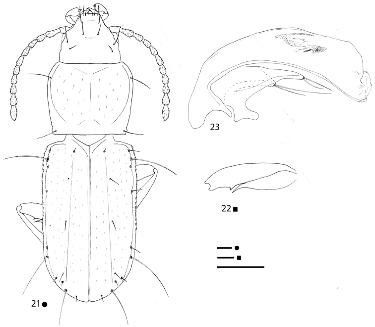 Figures 21–23.