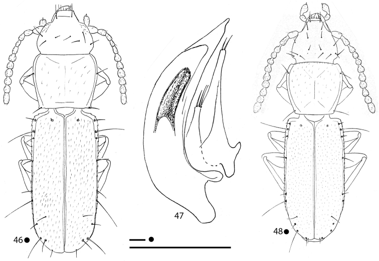 Figures 46–48.