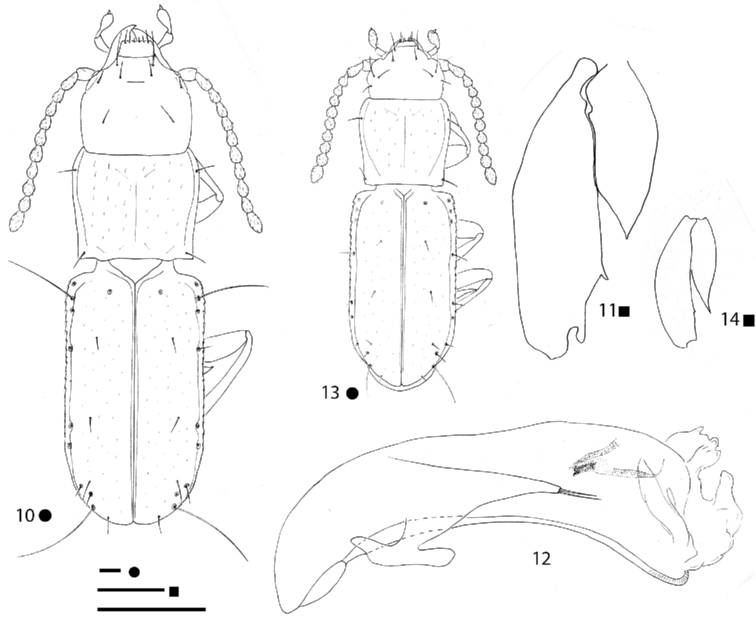 Figures 10–14.