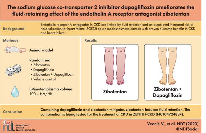 Graphical Abstract