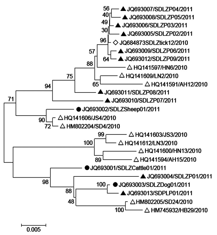 Figure 6