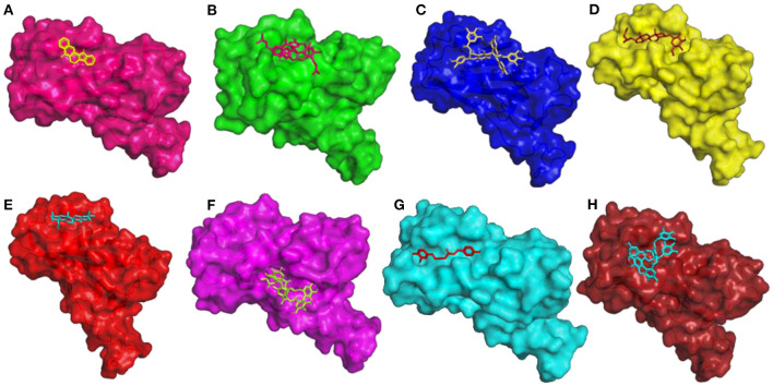 Figure 6