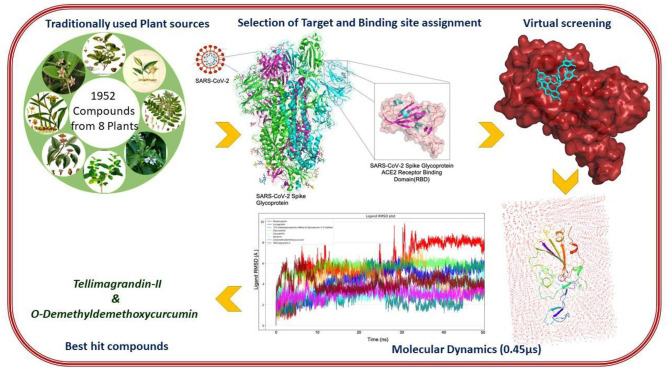 Graphical Abstract