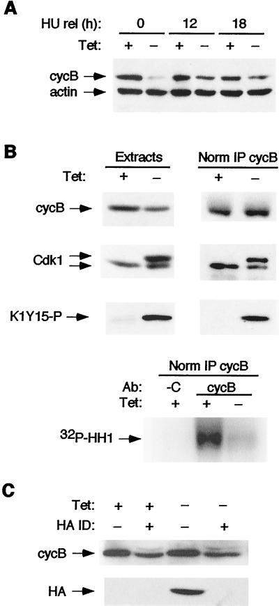 FIG. 9