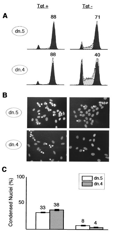 FIG. 8